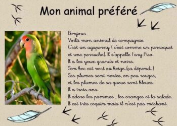 Comment on décrit un animal ?