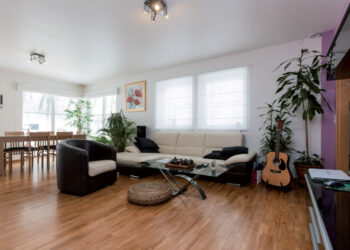 Comment organiser le Feng Shui dans sa maison ?