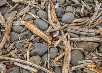 Comment peindre du bois flotté ?