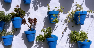 Comment peindre un tableau en extérieur ?