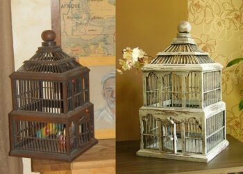 Comment peindre une cage à oiseaux ?