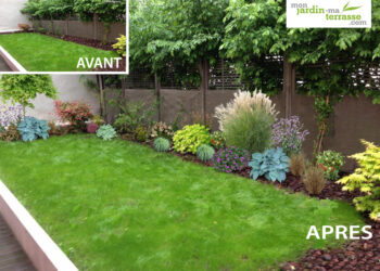 Comment planter le long d'un mur ?