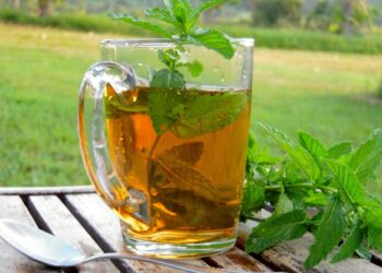 Comment porter du vert menthe ?