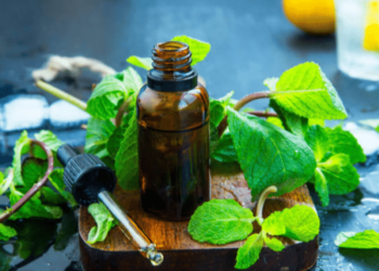 Comment prendre l'huile essentielle de menthe poivrée ?