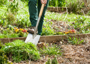 Comment préparer un terrain pour faire un potager ?