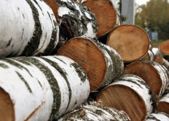 Comment protéger des rondins de bois ?