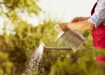 Comment protéger le bois contre l'eau ?