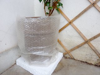 Comment protéger les pots en terre cuite du gel ?