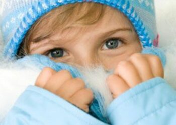 Comment protéger une niche du froid ?