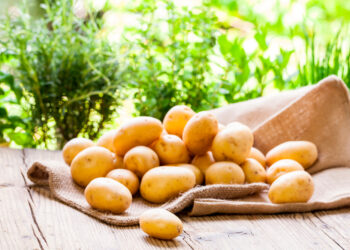 Comment râper les pommes ?