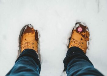 Comment raviver le daim ?