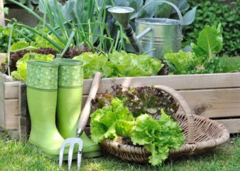 Comment réaliser un beau potager ?