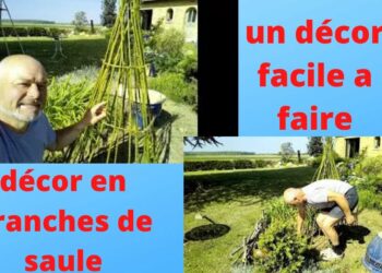 Comment réaliser un support pour une plante grimpante ?