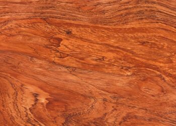 Comment reconnaître le palissandre ?