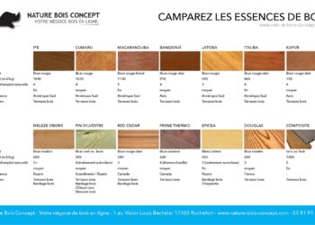 Comment reconnaître un bois exotique ?