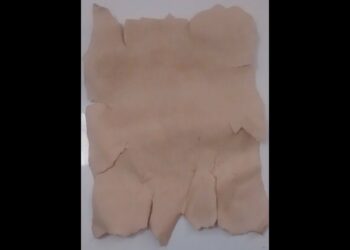 Comment reconnaître un parchemin ?