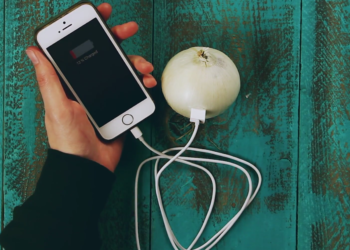 Comment reconnaître une plante avec son téléphone ?