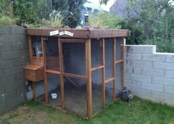 Comment recouvrir le toit d'un poulailler ?