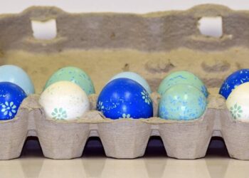 Comment recycler des boîtes d'œufs ?