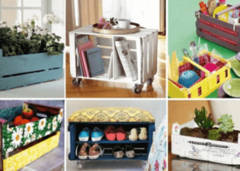 Comment recycler des cagettes de fruits ?