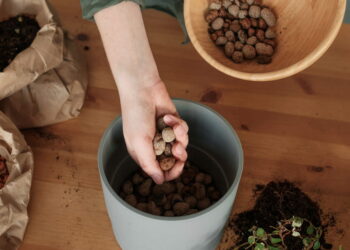 Comment remplacer les billes d'argile ?