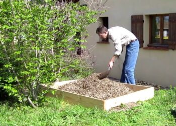Comment remplir le carré potager ?