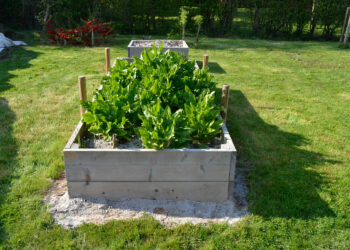 Comment remplir un potager surélevé ?