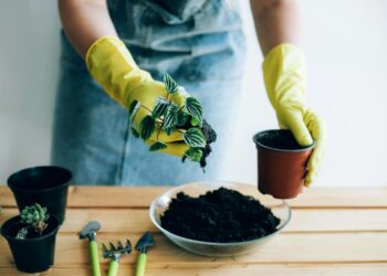 Comment remplir un très grand pot de fleur ?