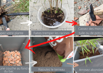 Comment remplir une jardinière en plastique ?