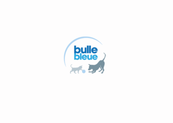 Comment résilier bulle bleue ?