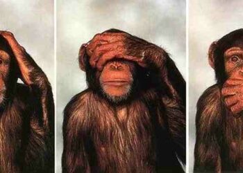 Comment s'appelle les 3 singes de la sagesse ?