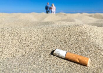 Comment s'appelle les cigarette à la menthe ?