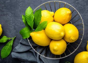 Comment s'arrose un citronnier ?