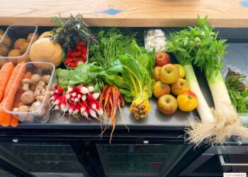 Comment savoir le nom d'un légume ?