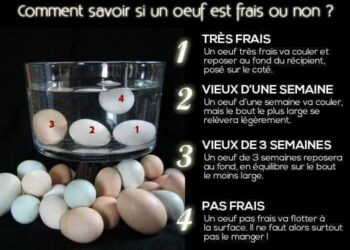 Comment savoir si c'est 14 ou 16 ?