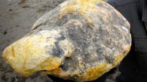 Comment savoir si c'est du vomi de baleine ?