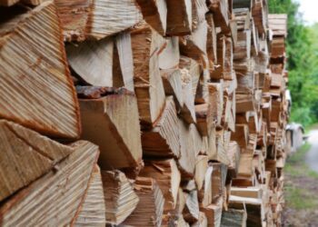 Comment savoir si le bois est du teck ?