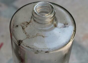 Comment savoir si une mère de vinaigre est morte ?