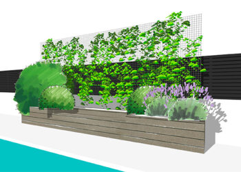 Comment se cacher d'une vue plongeante ?