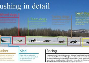 Comment se compose un lit ?