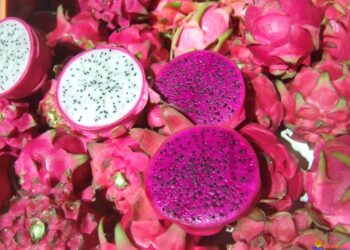 Comment se mange le fruit du dragon ?