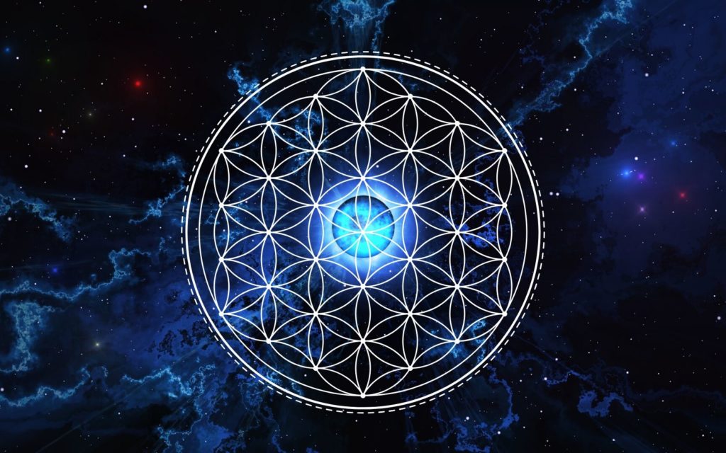 Comment se servir de la fleur