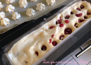 Comment se servir du moule à bûche Thermomix ?