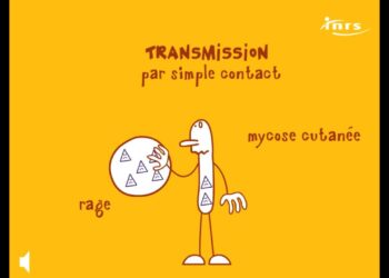 Comment se transmettent les vers ?