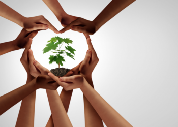 Comment sensibiliser à la protection de l'environnement ?