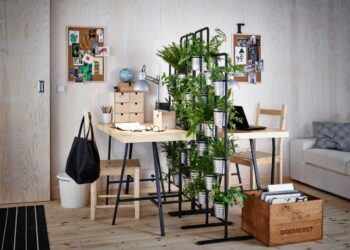 Comment séparer une pièce avec des plantes ?