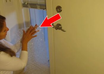 Comment s'isoler de la vue des voisins ?