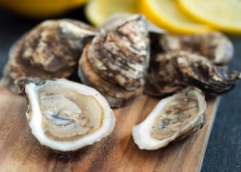 Comment sont les fourchettes à huîtres ?