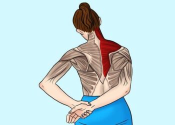 Comment soulager des douleurs musculaires au niveau du cou ?