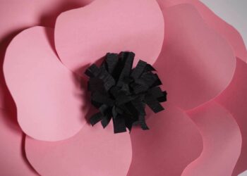 Comment stabiliser des fleurs Soi-même ?